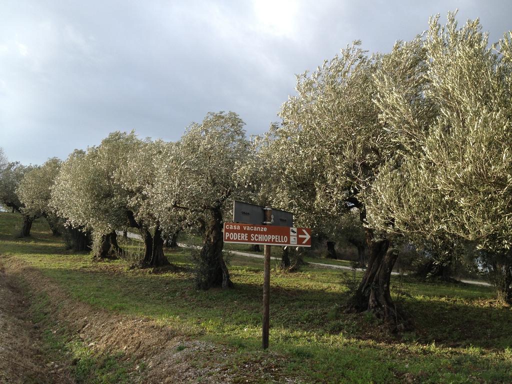 Podere Schioppello Casale Con Appartamenti Privati Cibottola Номер фото