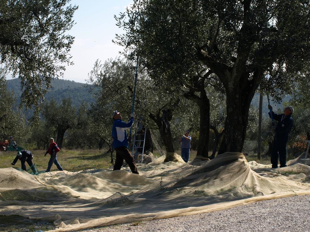 Podere Schioppello Casale Con Appartamenti Privati Cibottola Экстерьер фото