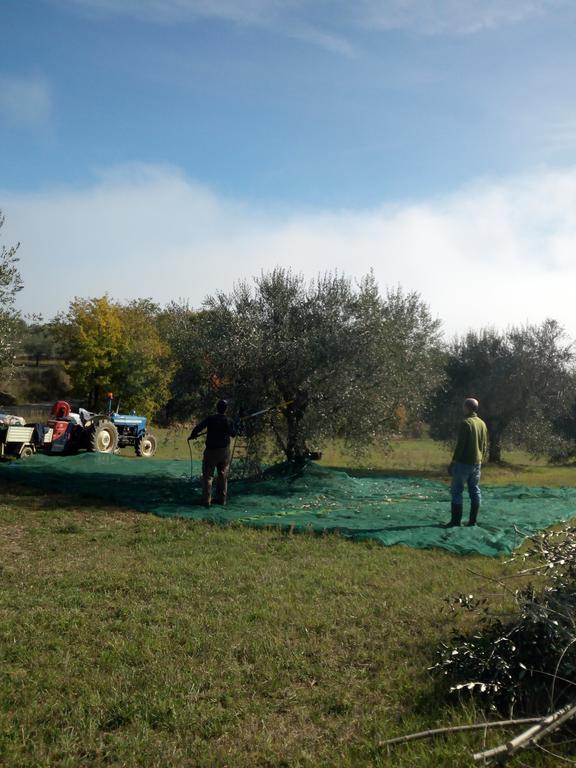 Podere Schioppello Casale Con Appartamenti Privati Cibottola Экстерьер фото